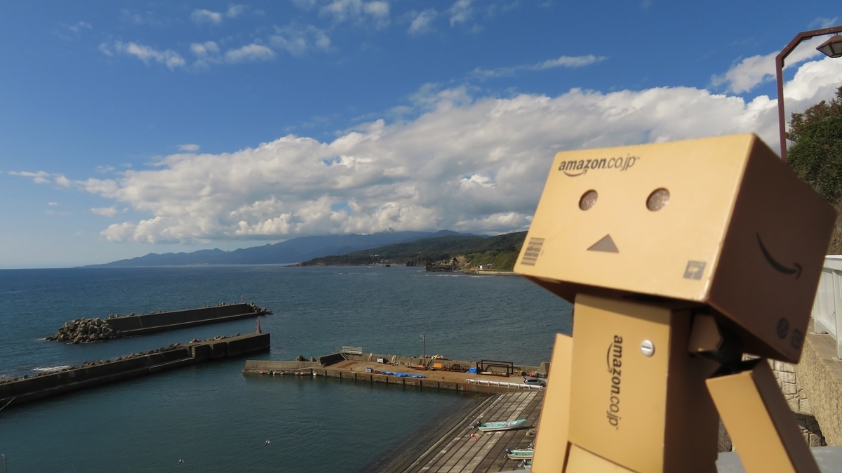 f:id:shirokumapanda:20190124211732j:plain