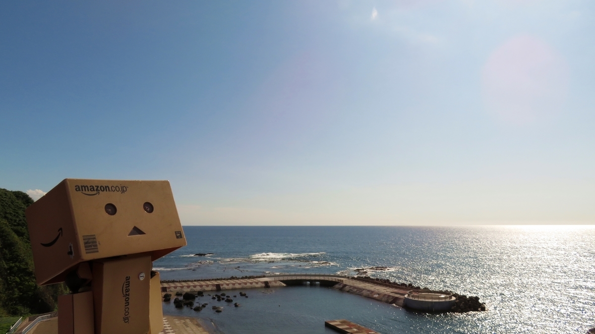 f:id:shirokumapanda:20190124211736j:plain