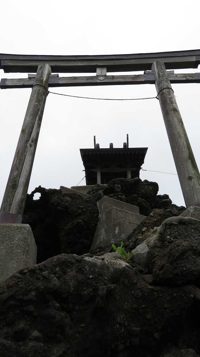 f:id:shirokumapanda:20190124213711j:plain
