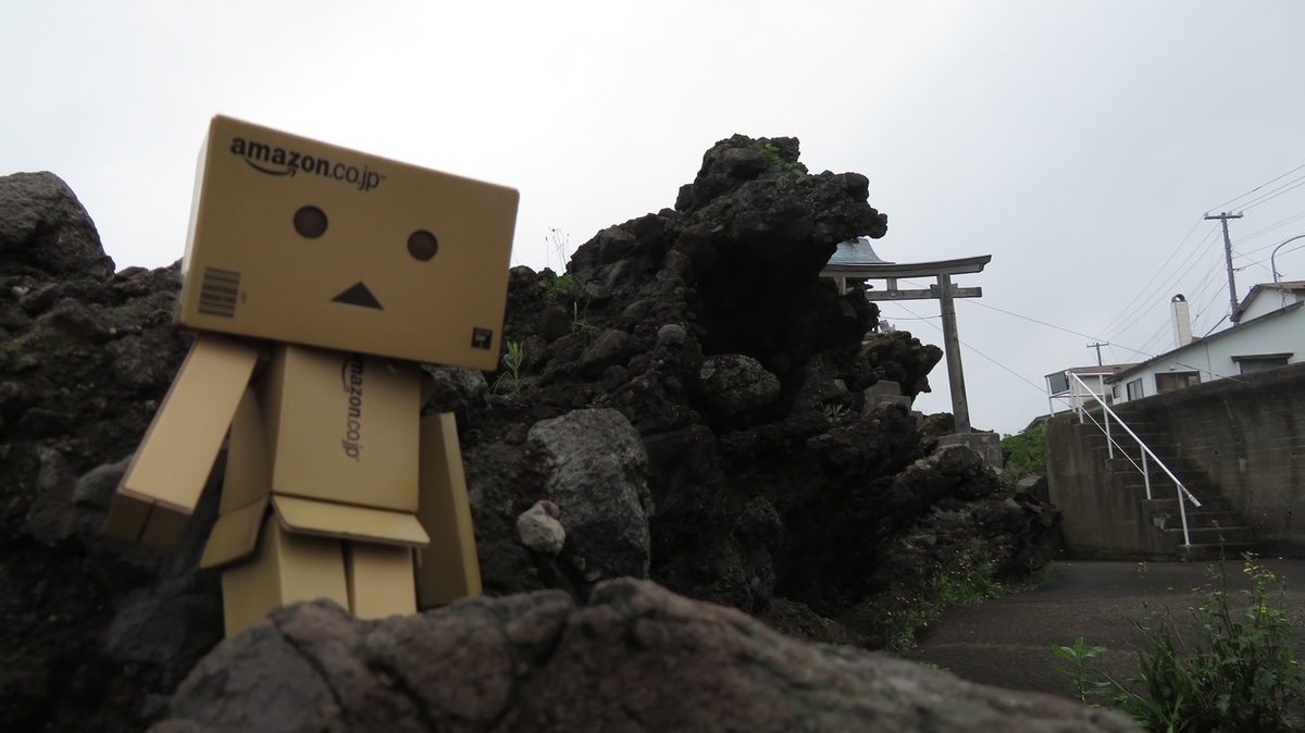 f:id:shirokumapanda:20190124213719j:plain