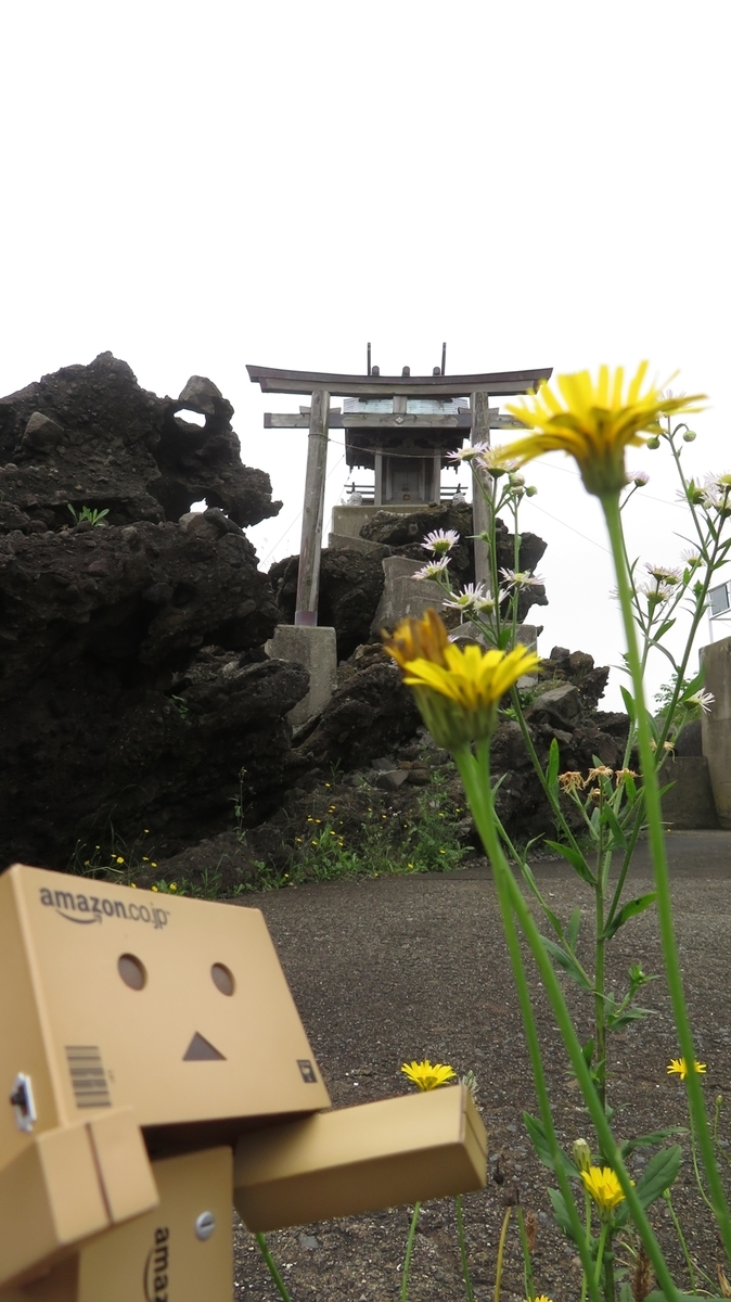 f:id:shirokumapanda:20190124213727j:plain