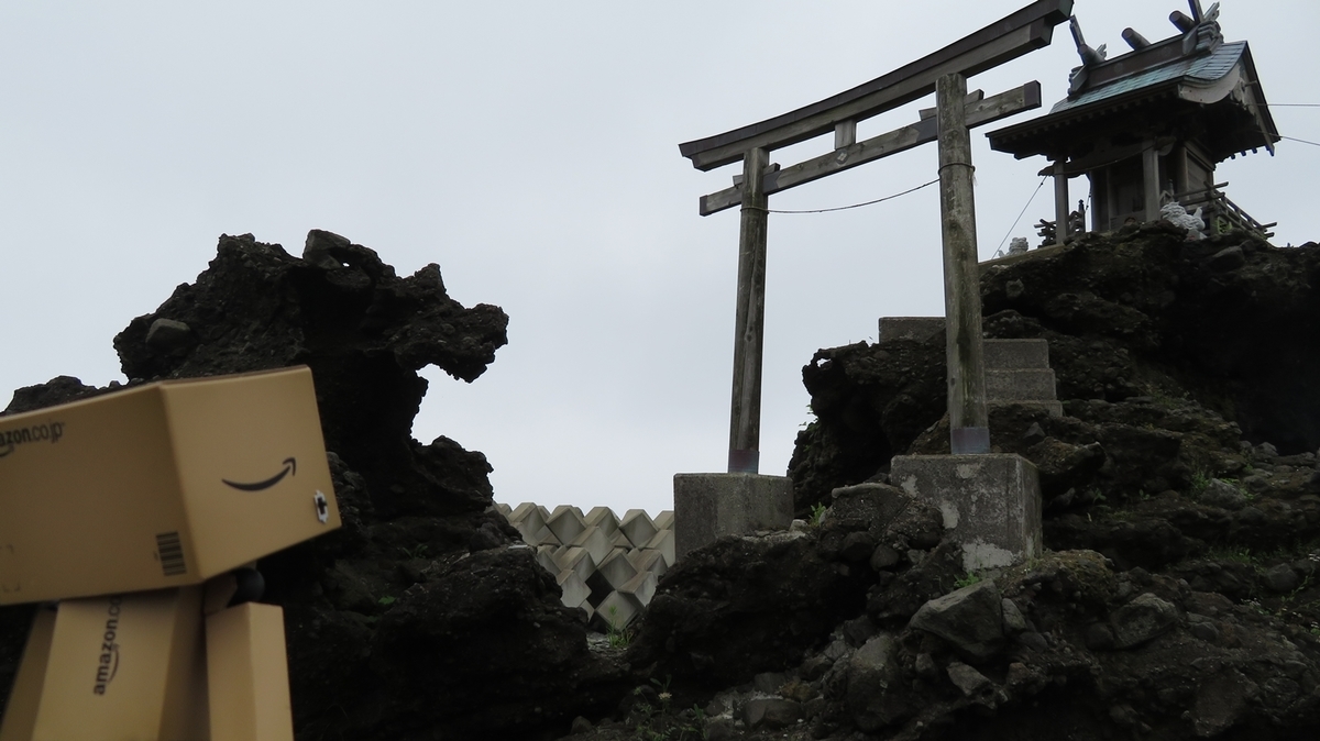 f:id:shirokumapanda:20190124214516j:plain