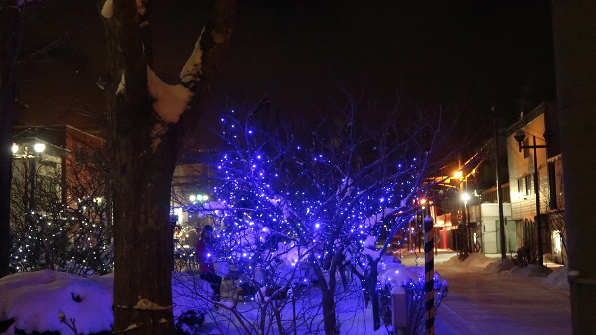 f:id:shirokumapanda:20190127140543j:plain