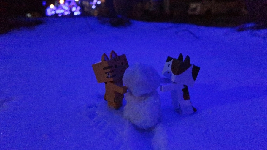 f:id:shirokumapanda:20190127141726j:plain