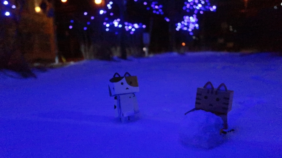f:id:shirokumapanda:20190127141734j:plain