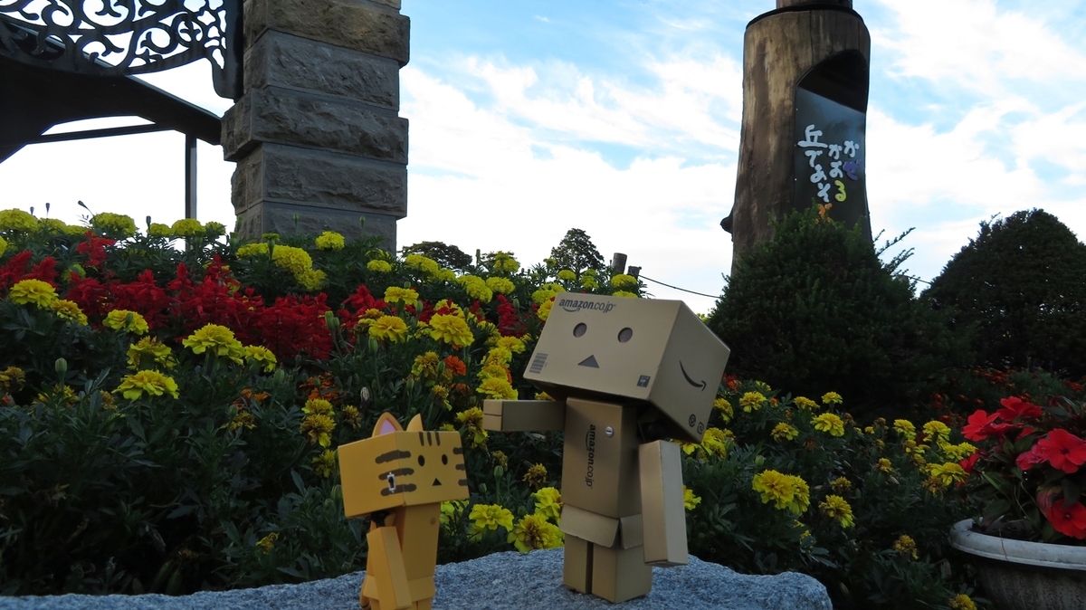 f:id:shirokumapanda:20190128224239j:plain