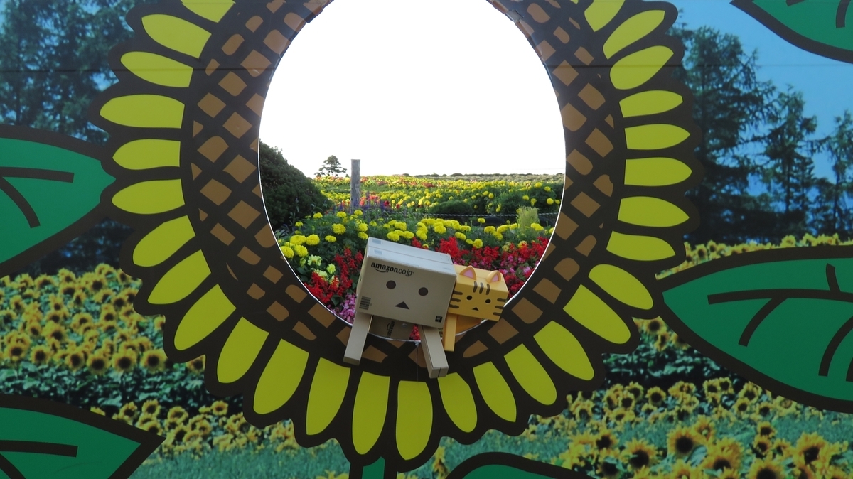 f:id:shirokumapanda:20190128224244j:plain