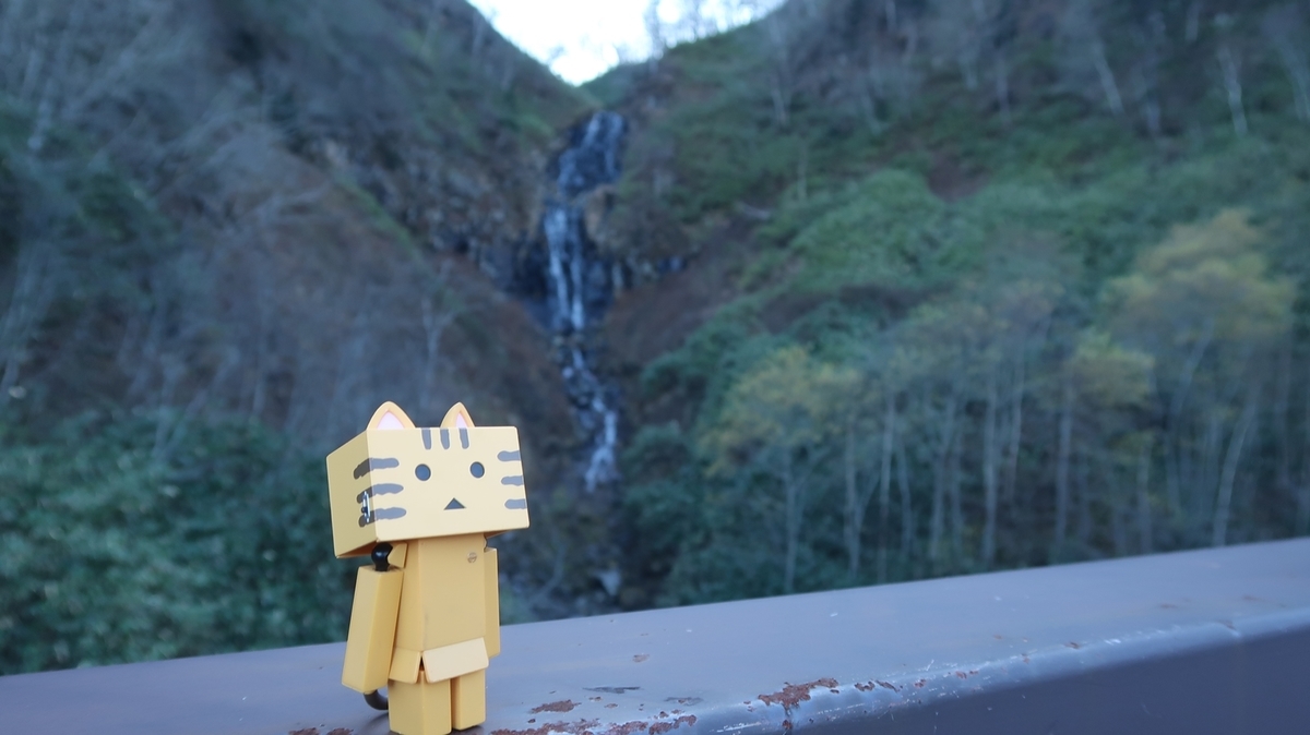 f:id:shirokumapanda:20190214024633j:plain