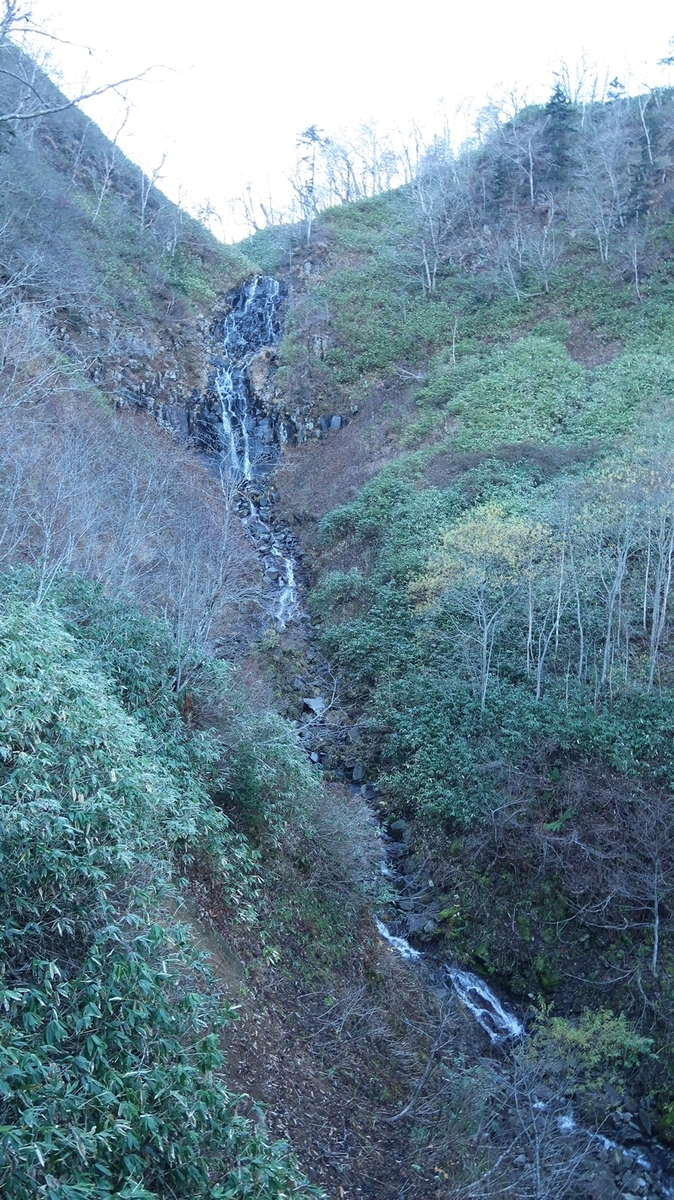 f:id:shirokumapanda:20190214024637j:plain