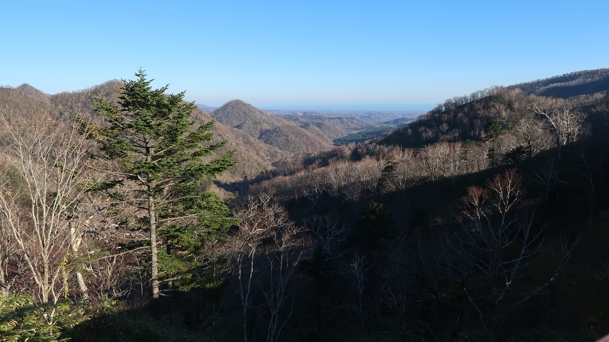 f:id:shirokumapanda:20190214024931j:plain