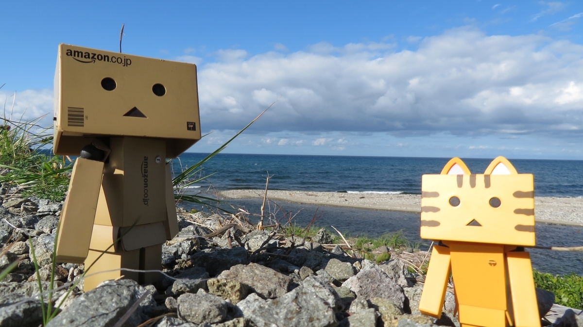 f:id:shirokumapanda:20190219035708j:plain