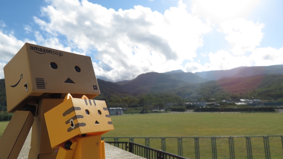 f:id:shirokumapanda:20190219035938j:plain