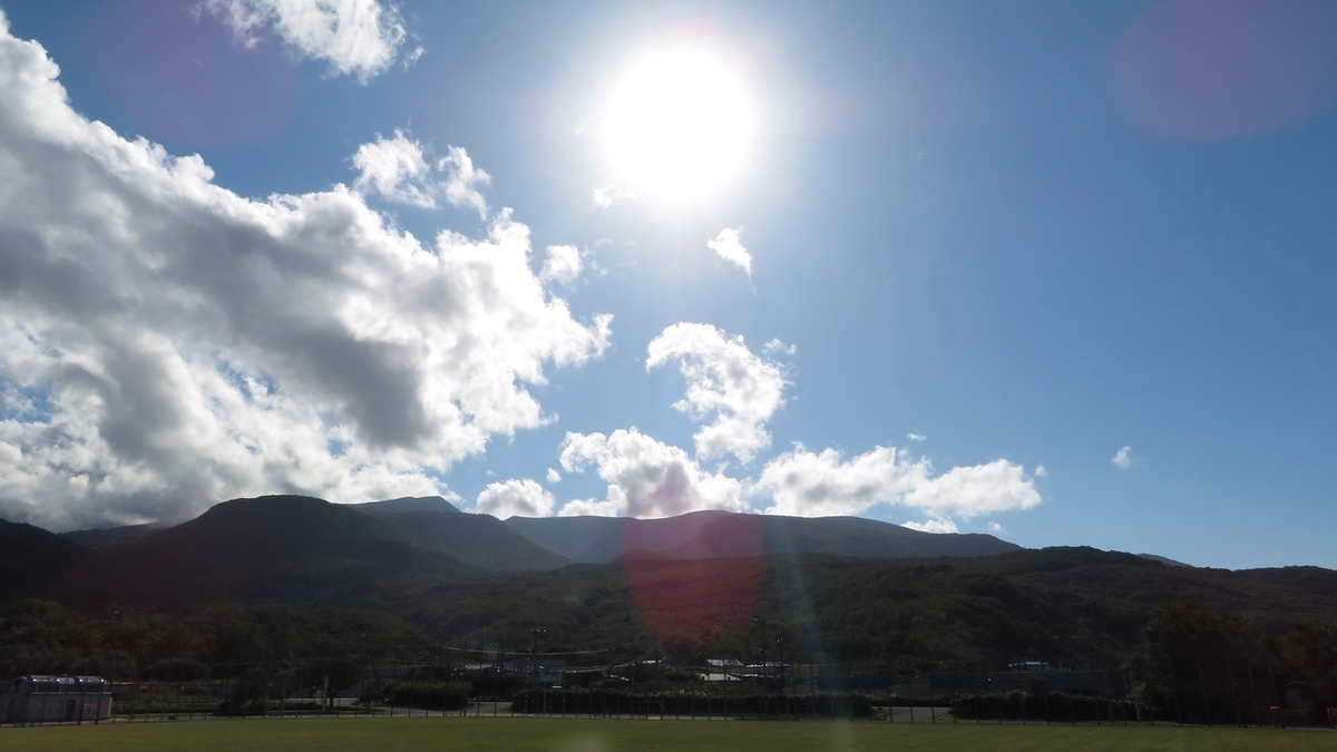 f:id:shirokumapanda:20190219035943j:plain