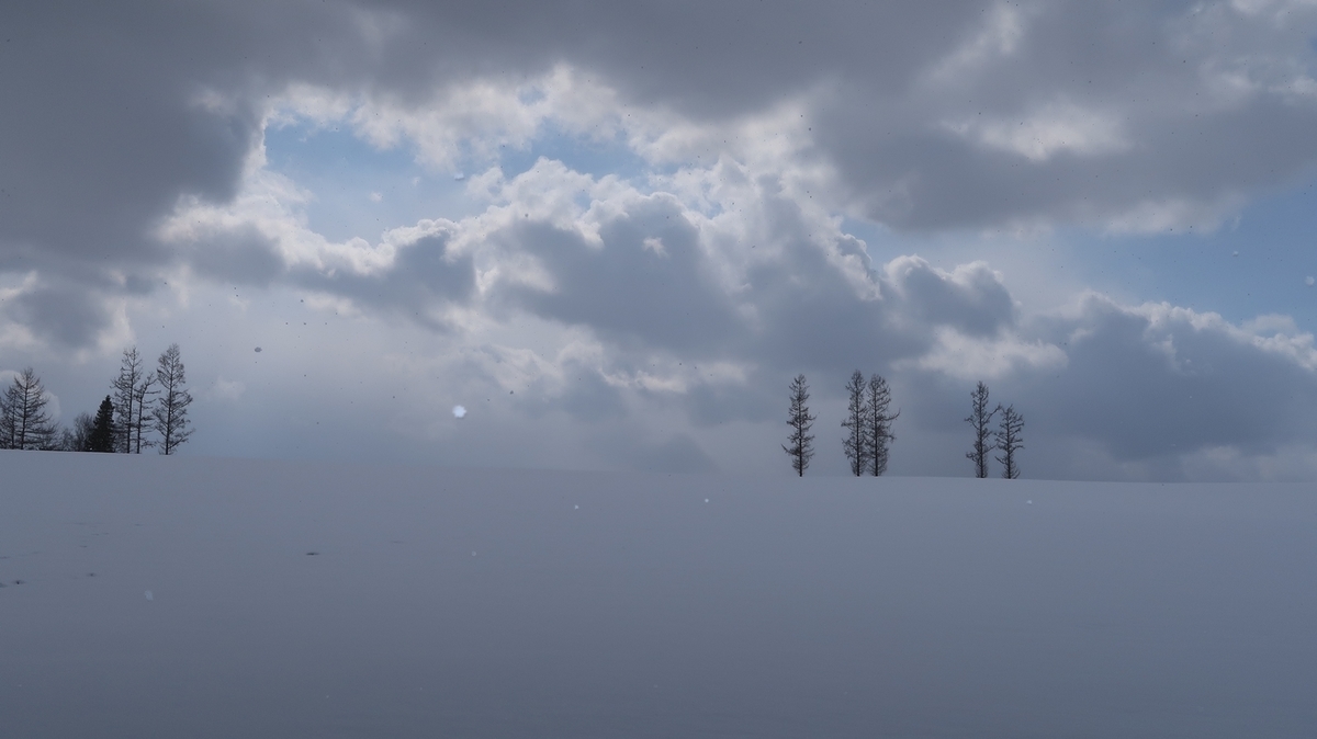 f:id:shirokumapanda:20190321000202j:plain