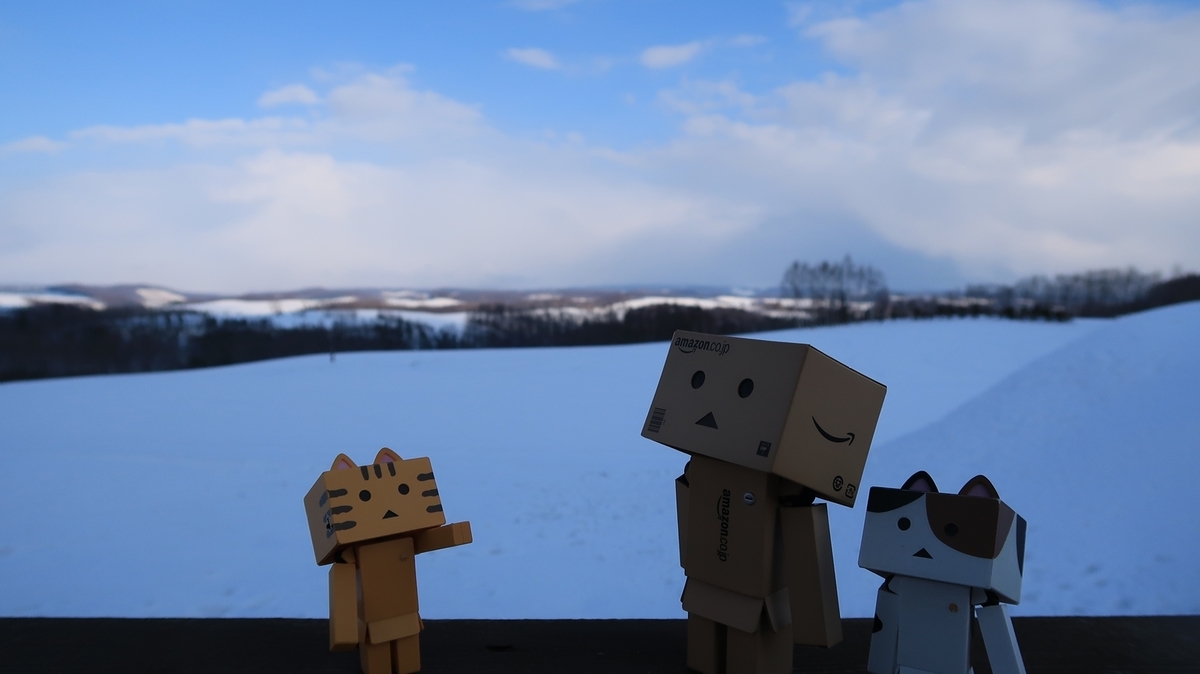 f:id:shirokumapanda:20190331233206j:plain f:id:shirokumapanda:20190331233206j:plain