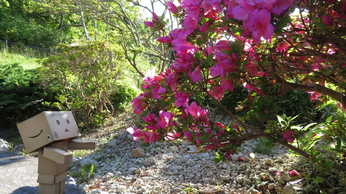 f:id:shirokumapanda:20190401235826j:plain