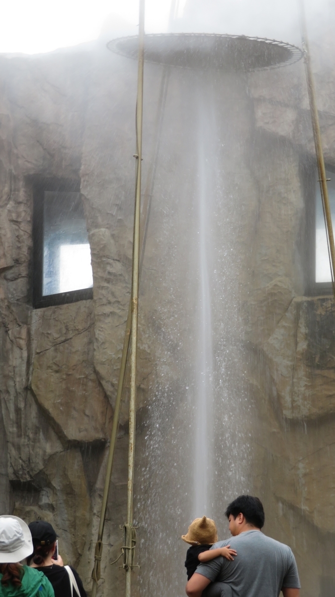 f:id:shirokumapanda:20190402000536j:plain