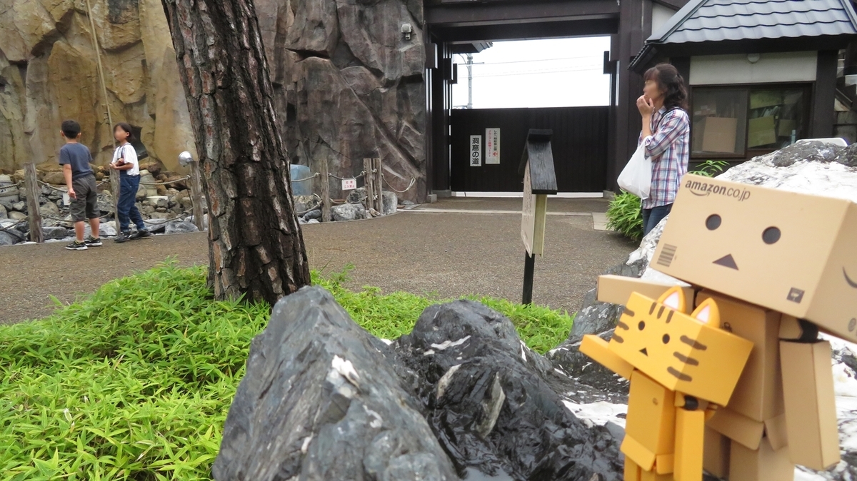 f:id:shirokumapanda:20190402000740j:plain