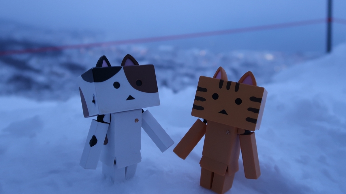 f:id:shirokumapanda:20190405012155j:plain