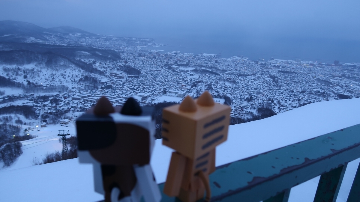 f:id:shirokumapanda:20190405012159j:plain