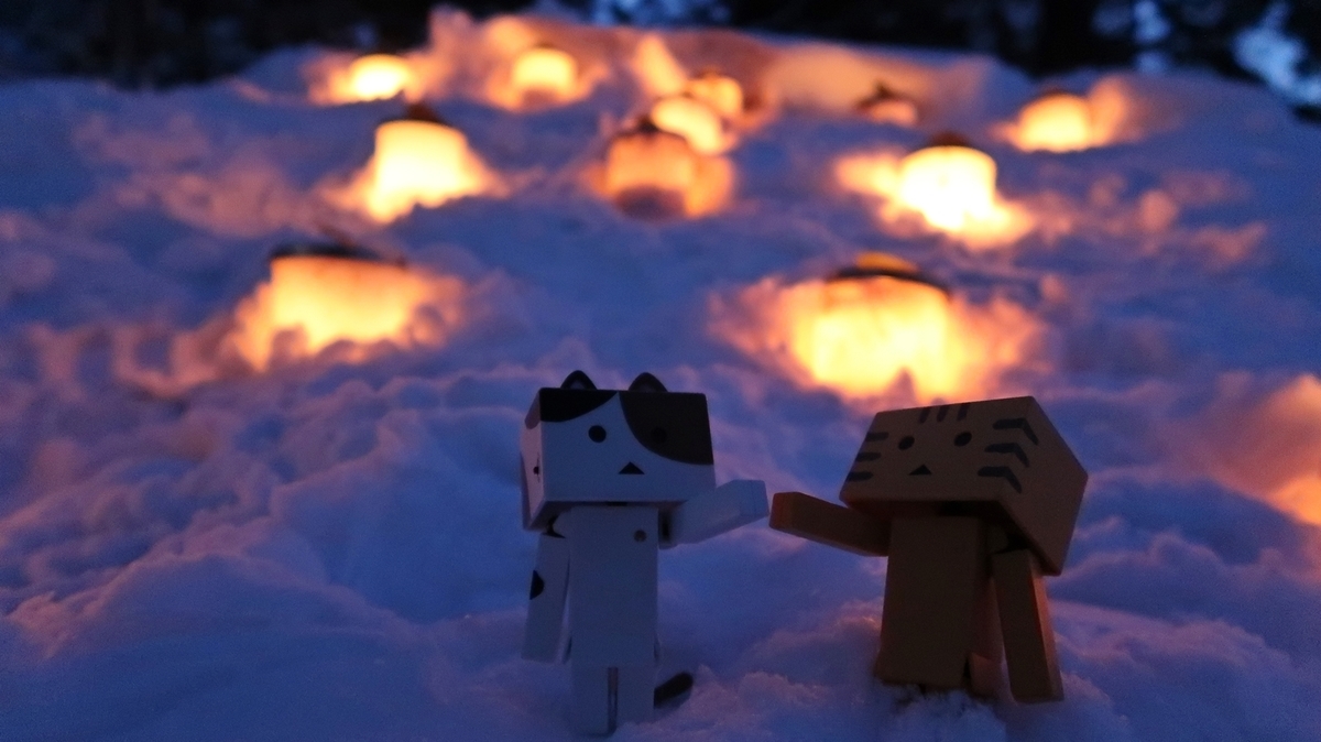 f:id:shirokumapanda:20190405012318j:plain