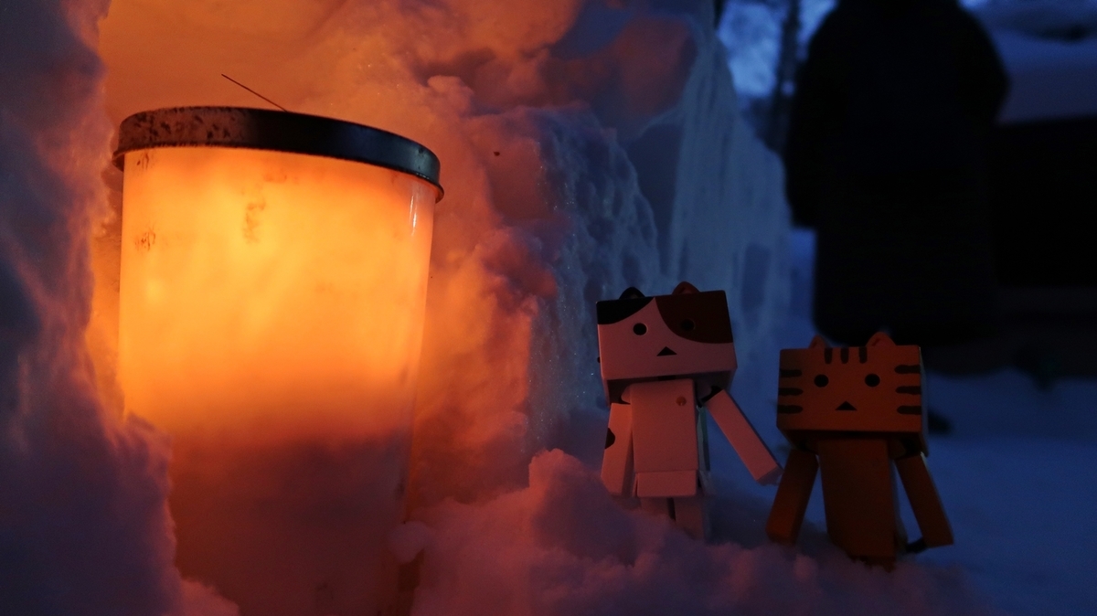 f:id:shirokumapanda:20190405012327j:plain