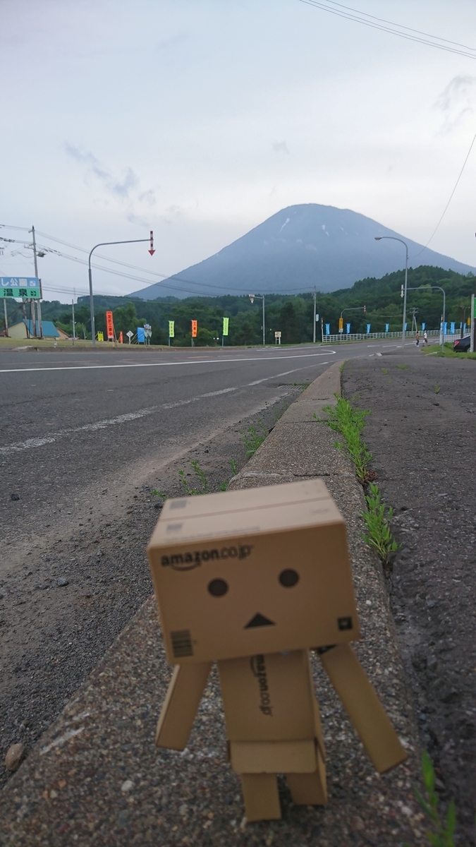 f:id:shirokumapanda:20190407014231j:plain
