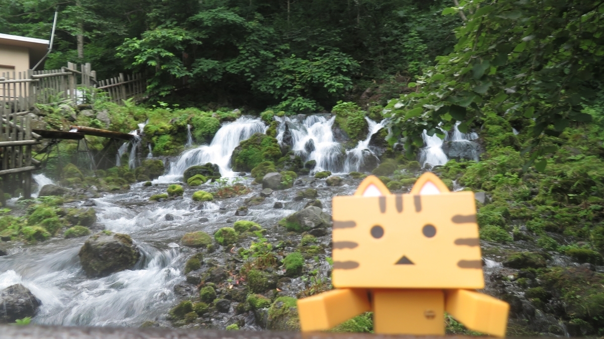 f:id:shirokumapanda:20190407014742j:plain