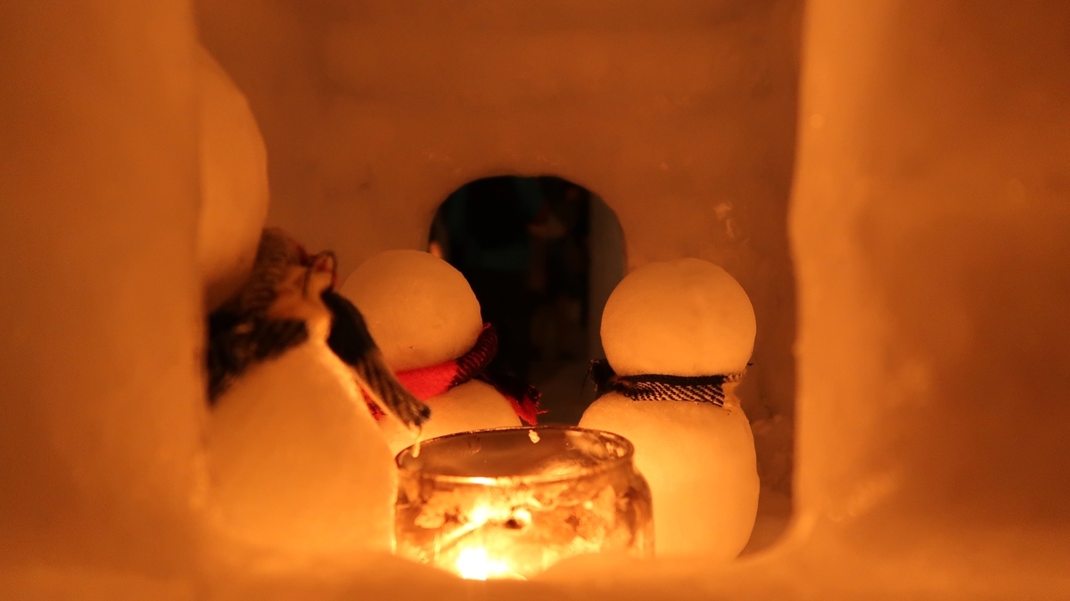 f:id:shirokumapanda:20190410013013j:plain