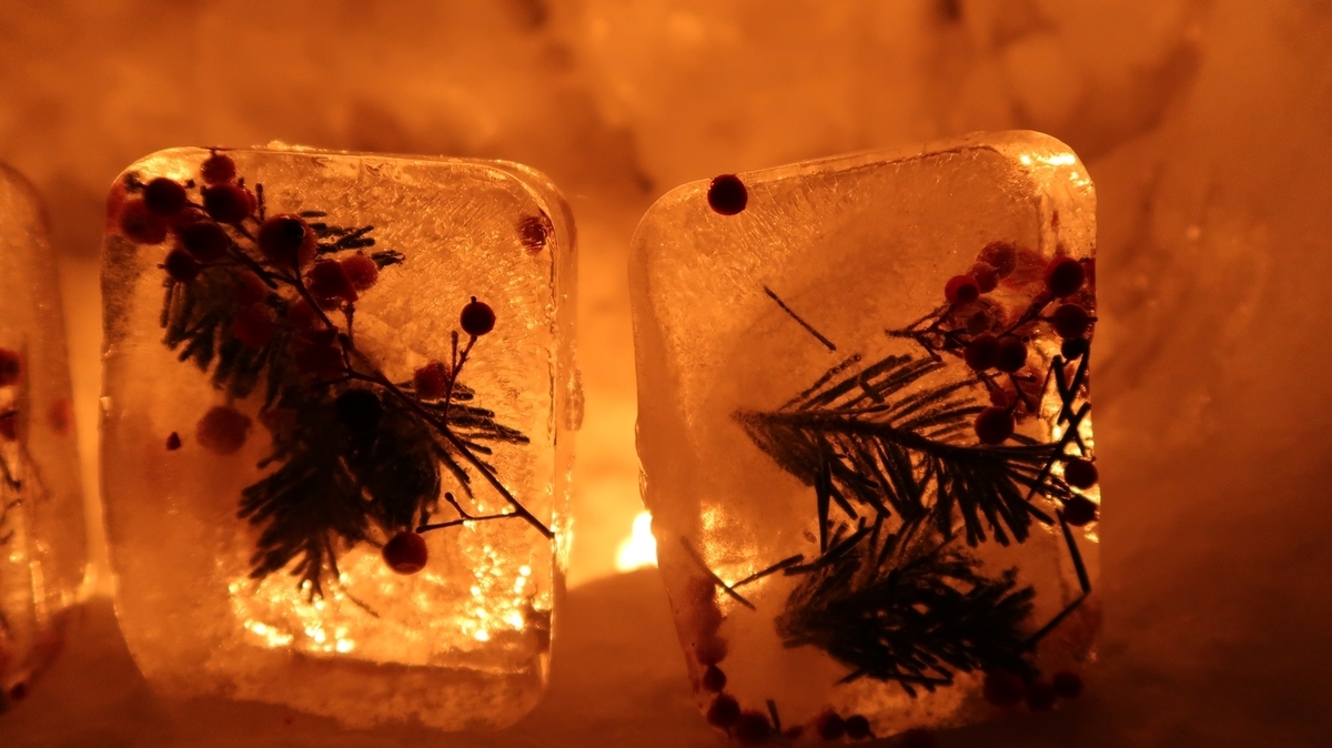 f:id:shirokumapanda:20190410013704j:plain