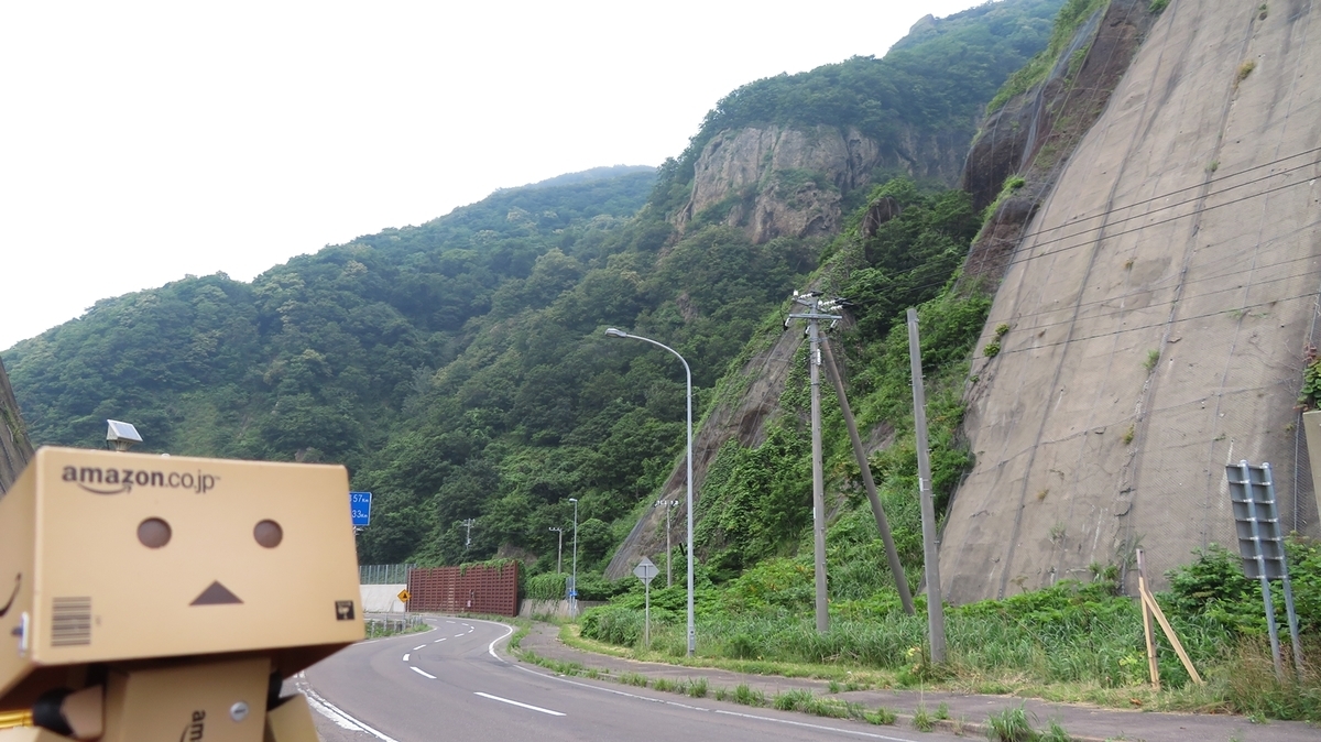 f:id:shirokumapanda:20190411232433j:plain