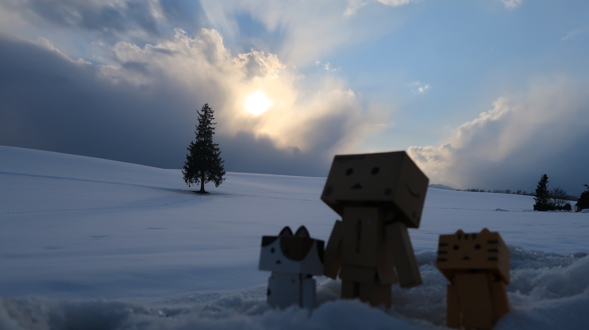 f:id:shirokumapanda:20190416012153j:plain f:id:shirokumapanda:20190416012153j:plain