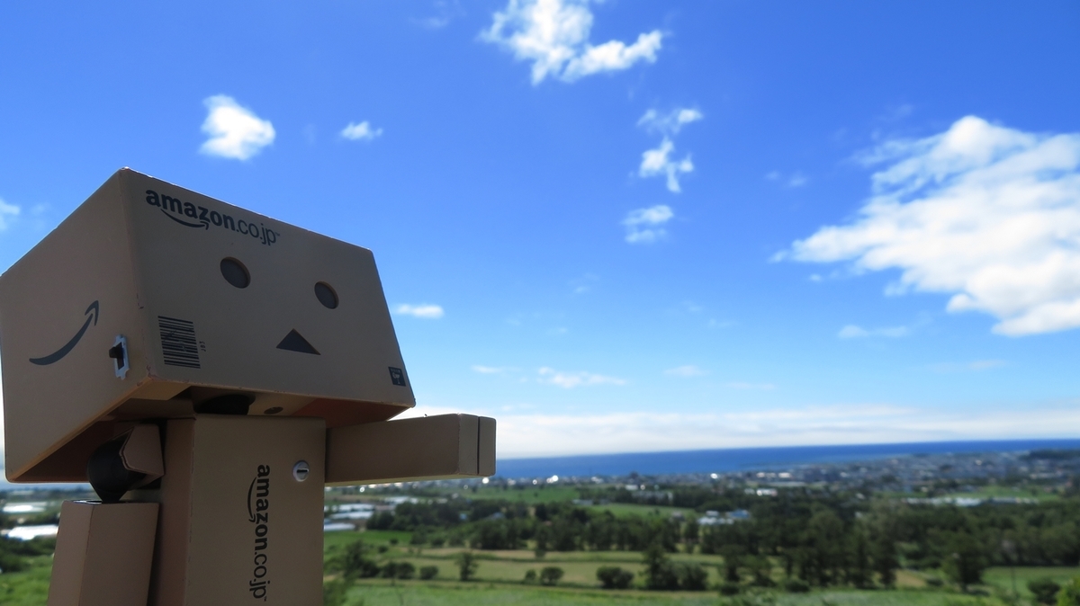 f:id:shirokumapanda:20190427235553j:plain