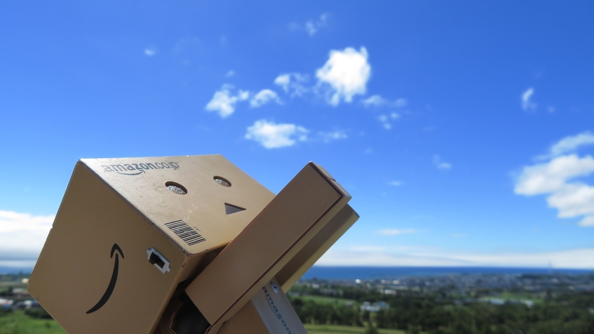 f:id:shirokumapanda:20190427235609j:plain