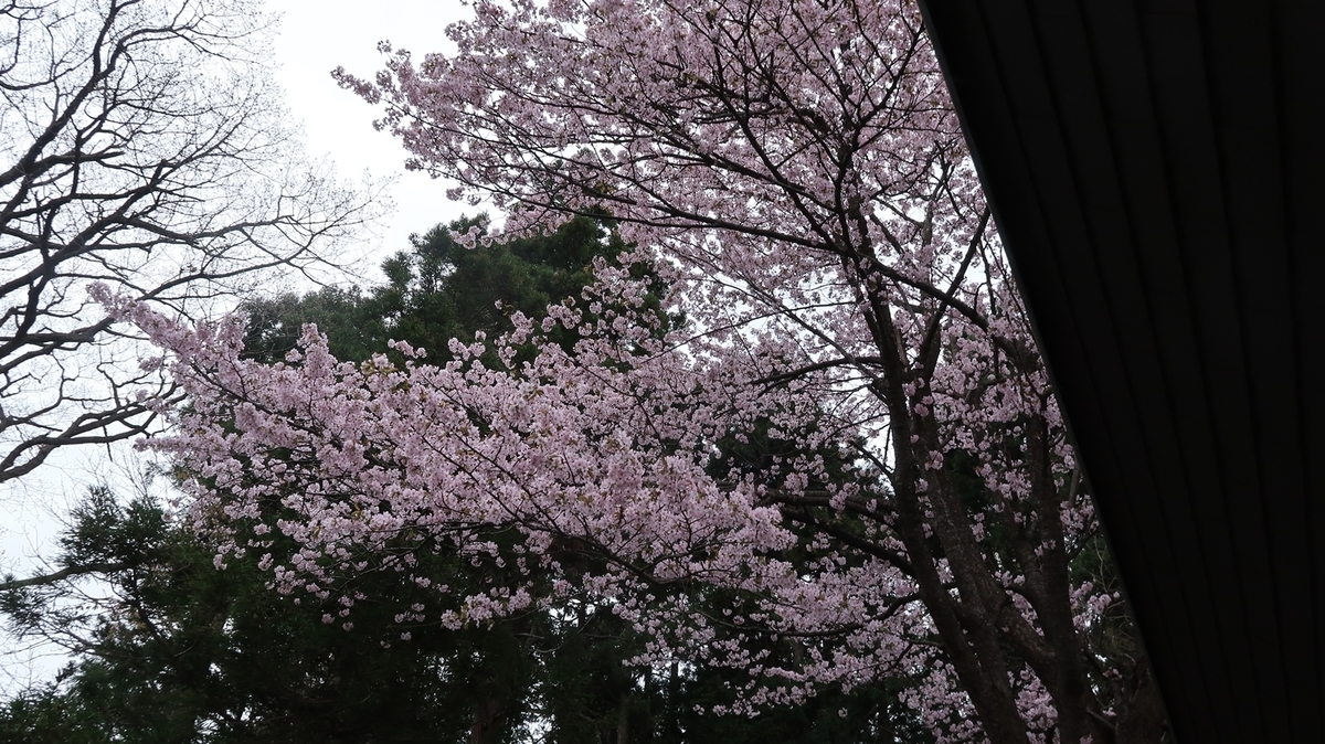 f:id:shirokumapanda:20190502012438j:plain