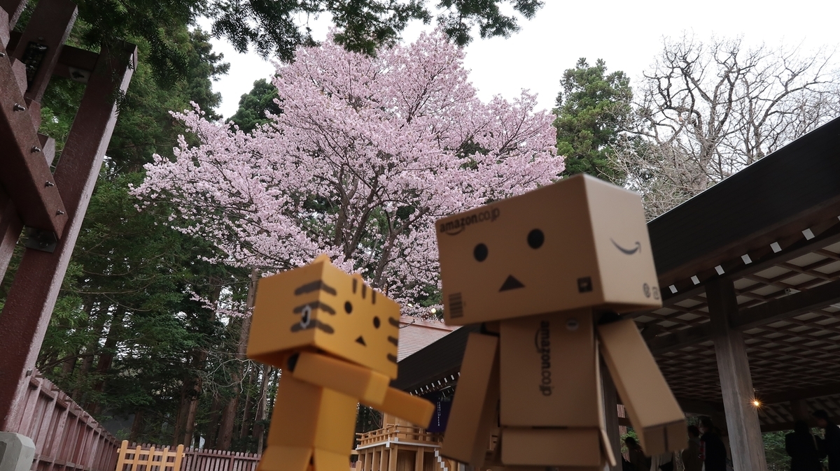 f:id:shirokumapanda:20190502012442j:plain