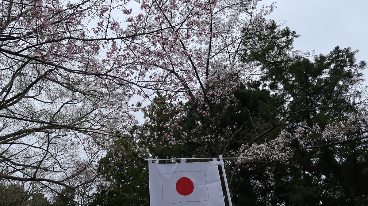 f:id:shirokumapanda:20190502012450j:plain