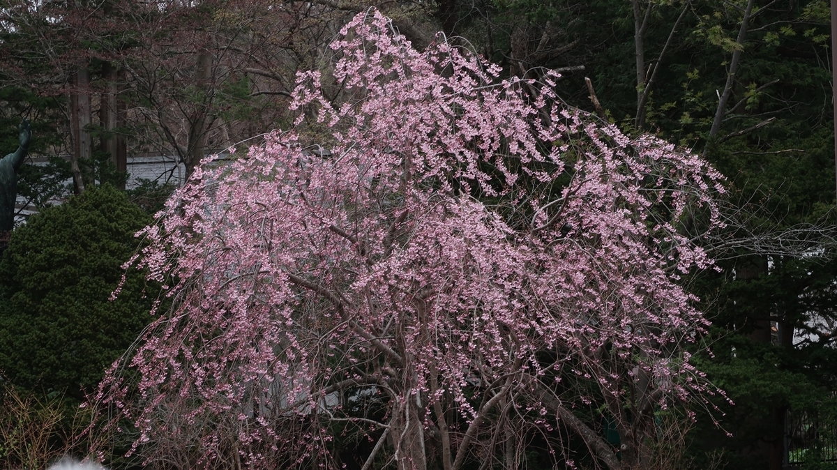 f:id:shirokumapanda:20190502012756j:plain