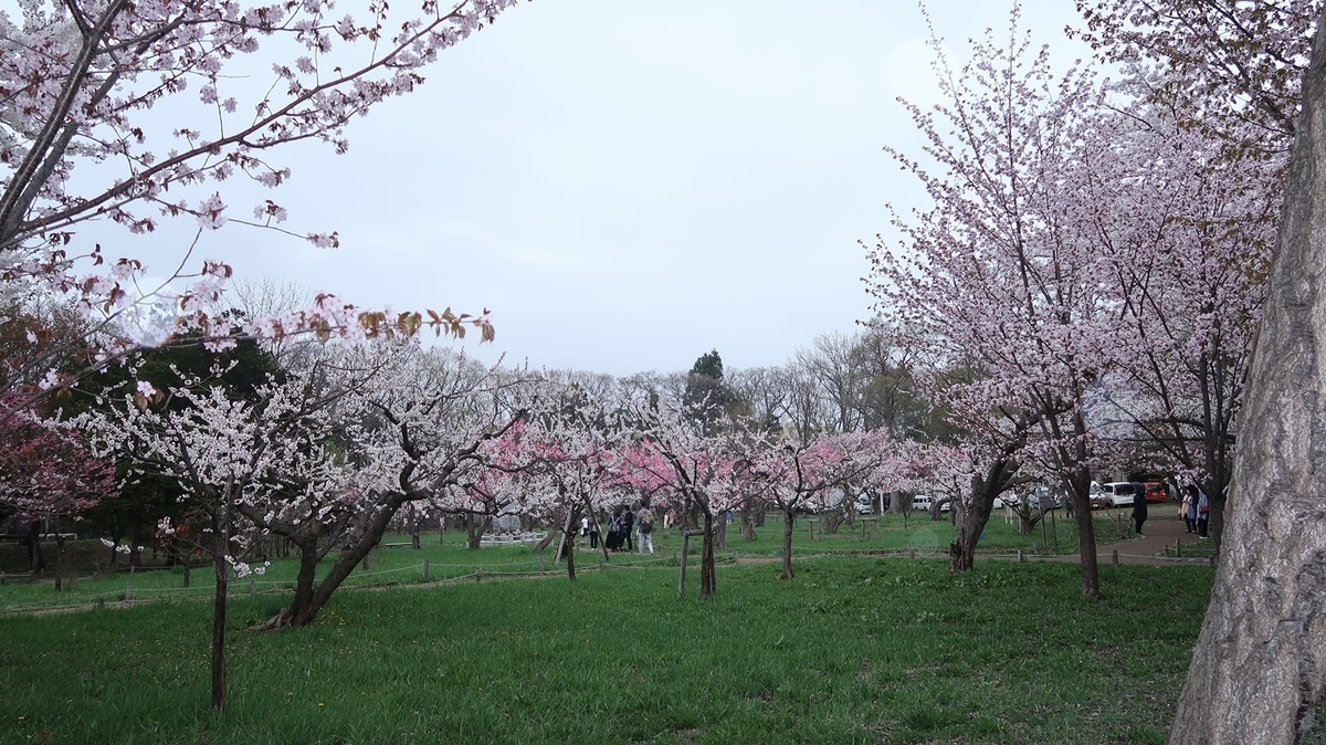 f:id:shirokumapanda:20190502013136j:plain