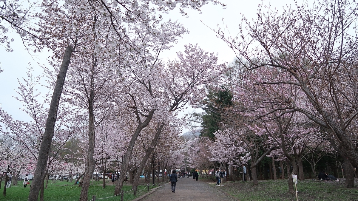 f:id:shirokumapanda:20190502013141j:plain