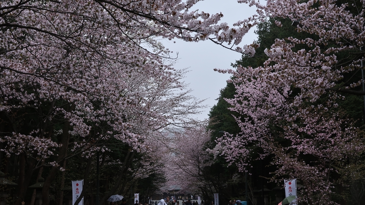 f:id:shirokumapanda:20190502013148j:plain