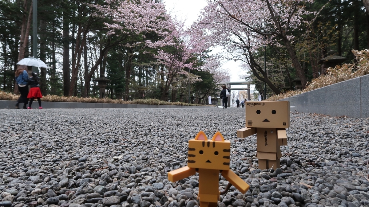 f:id:shirokumapanda:20190502013152j:plain