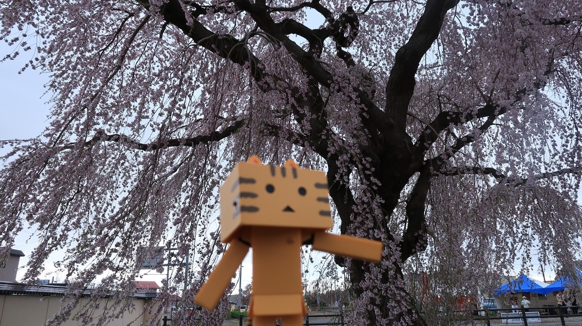 f:id:shirokumapanda:20190506232215j:plain