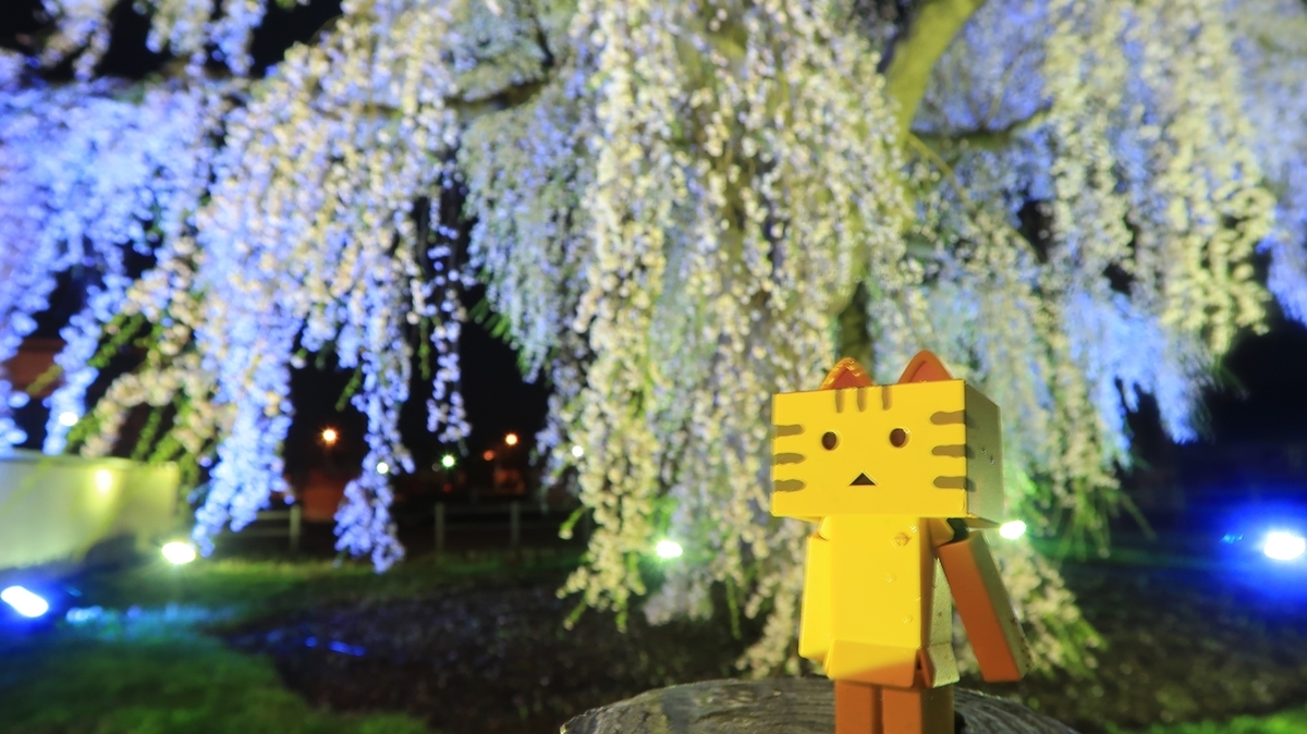 f:id:shirokumapanda:20190506232307j:plain