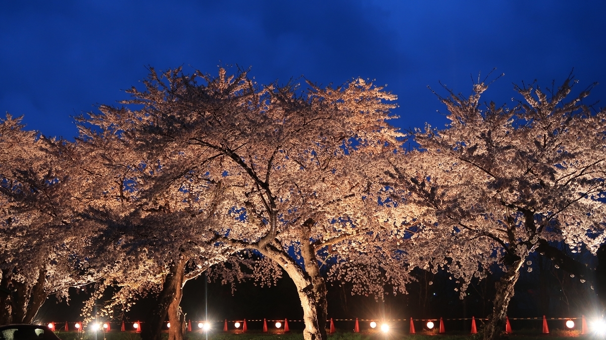 f:id:shirokumapanda:20190506232316j:plain