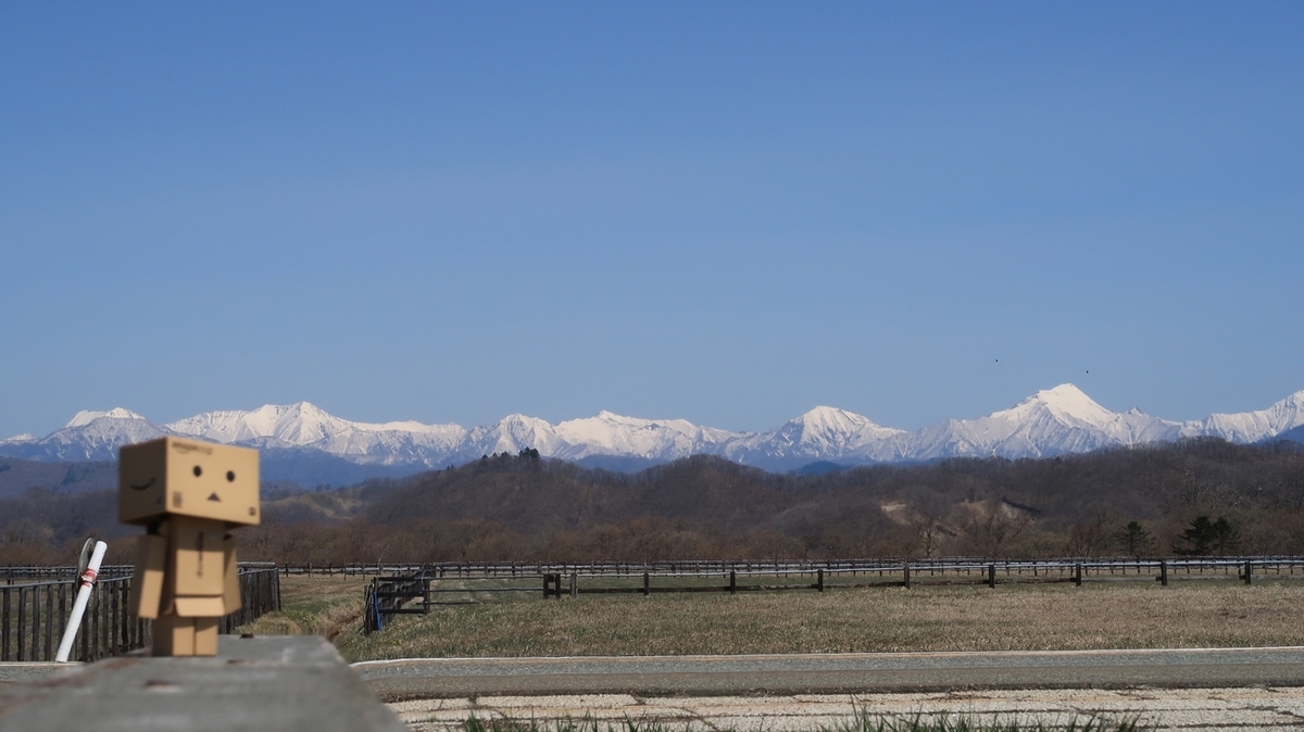 f:id:shirokumapanda:20190507233815j:plain