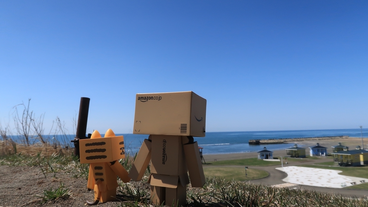 f:id:shirokumapanda:20190507234351j:plain
