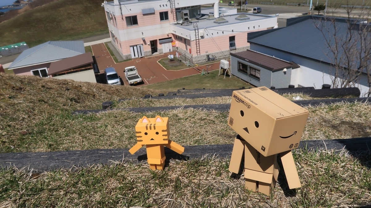 f:id:shirokumapanda:20190507234518j:plain