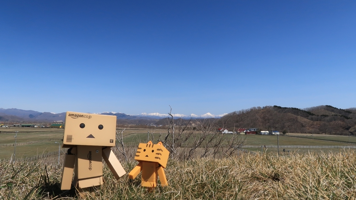 f:id:shirokumapanda:20190507234526j:plain