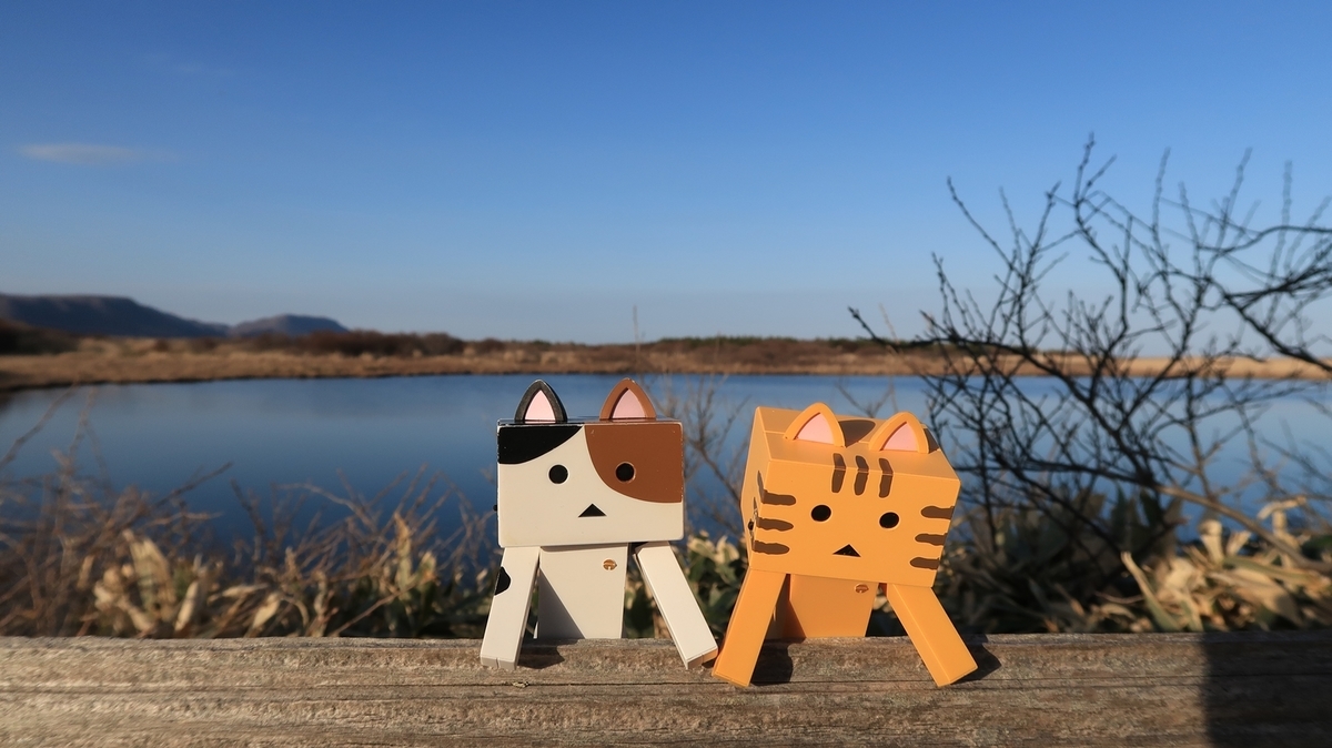 f:id:shirokumapanda:20190508224925j:plain f:id:shirokumapanda:20190508224925j:plain